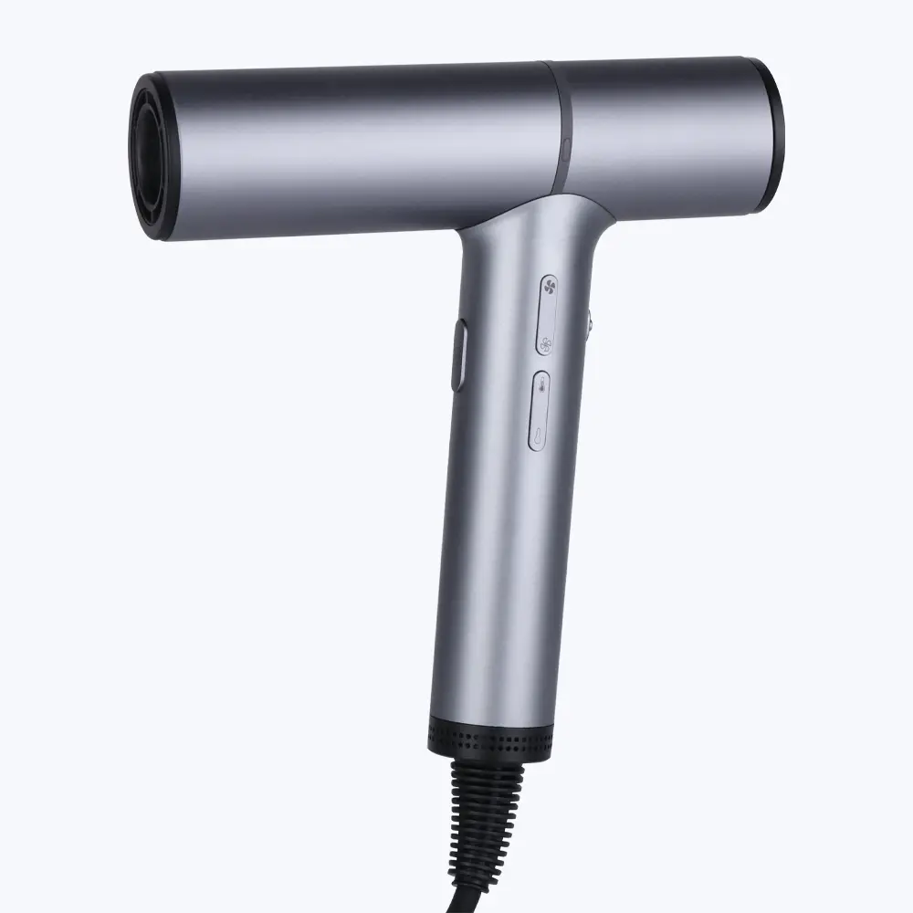 hair dryer LS 086 (2)